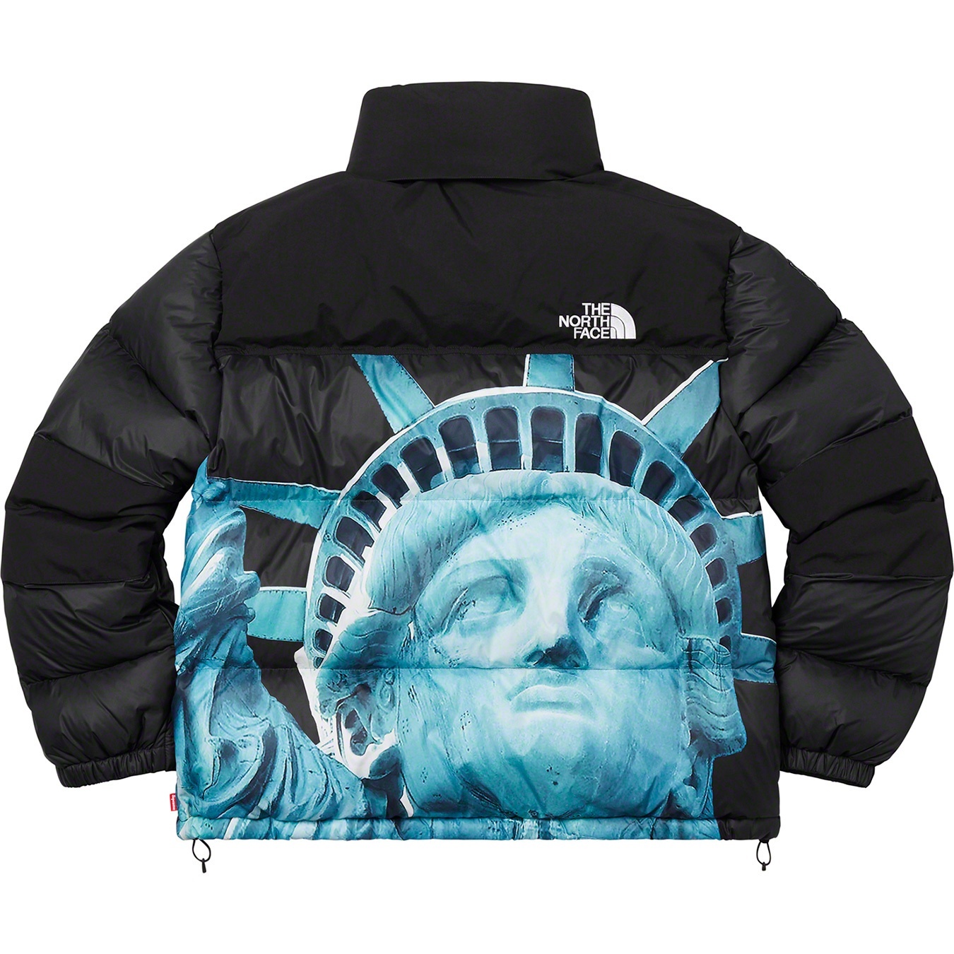 Supreme®/The North Face® Statue of Liberty Baltoro Jacket view 13